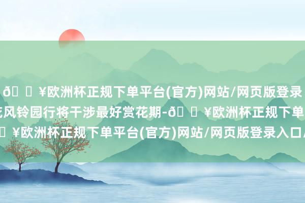 🔥欧洲杯正规下单平台(官方)网站/网页版登录入口/手机版青秀山黄花风铃园行将干涉最好赏花期-🔥欧洲杯正规下单平台(官方)网站/网页版登录入口/手机版