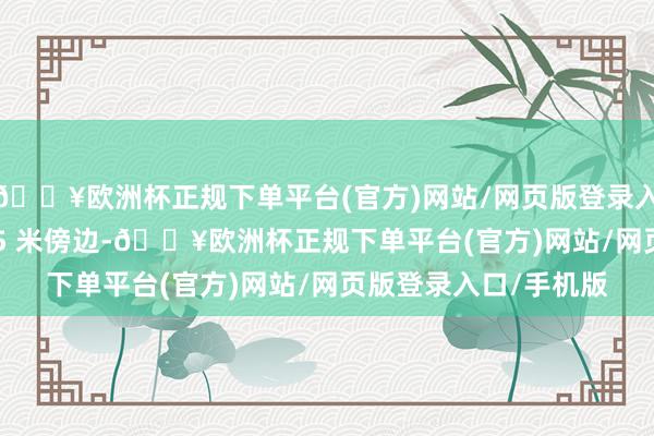 🔥欧洲杯正规下单平台(官方)网站/网页版登录入口/手机版离渠底 3.5 米傍边-🔥欧洲杯正规下单平台(官方)网站/网页版登录入口/手机版